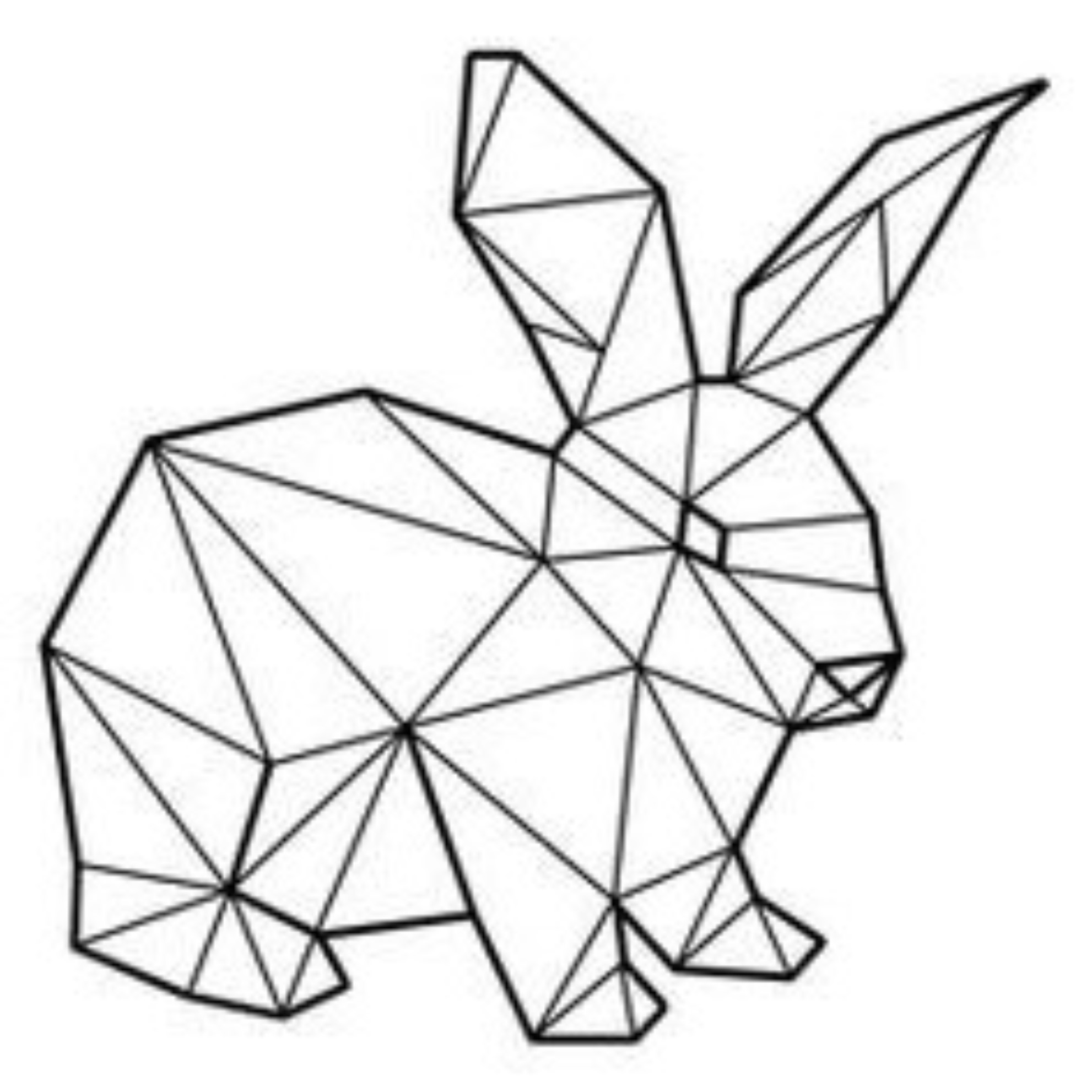 conejo
