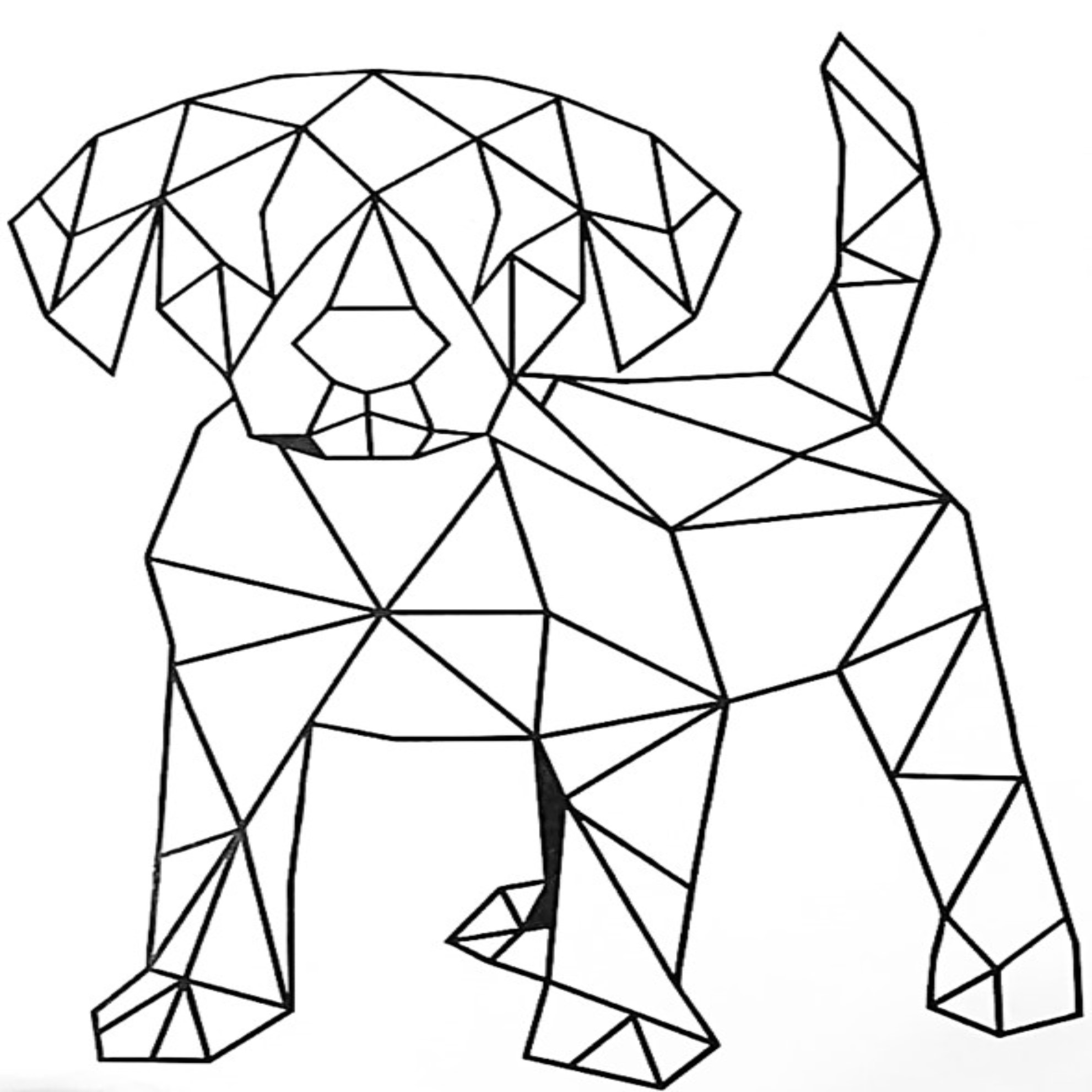perro
