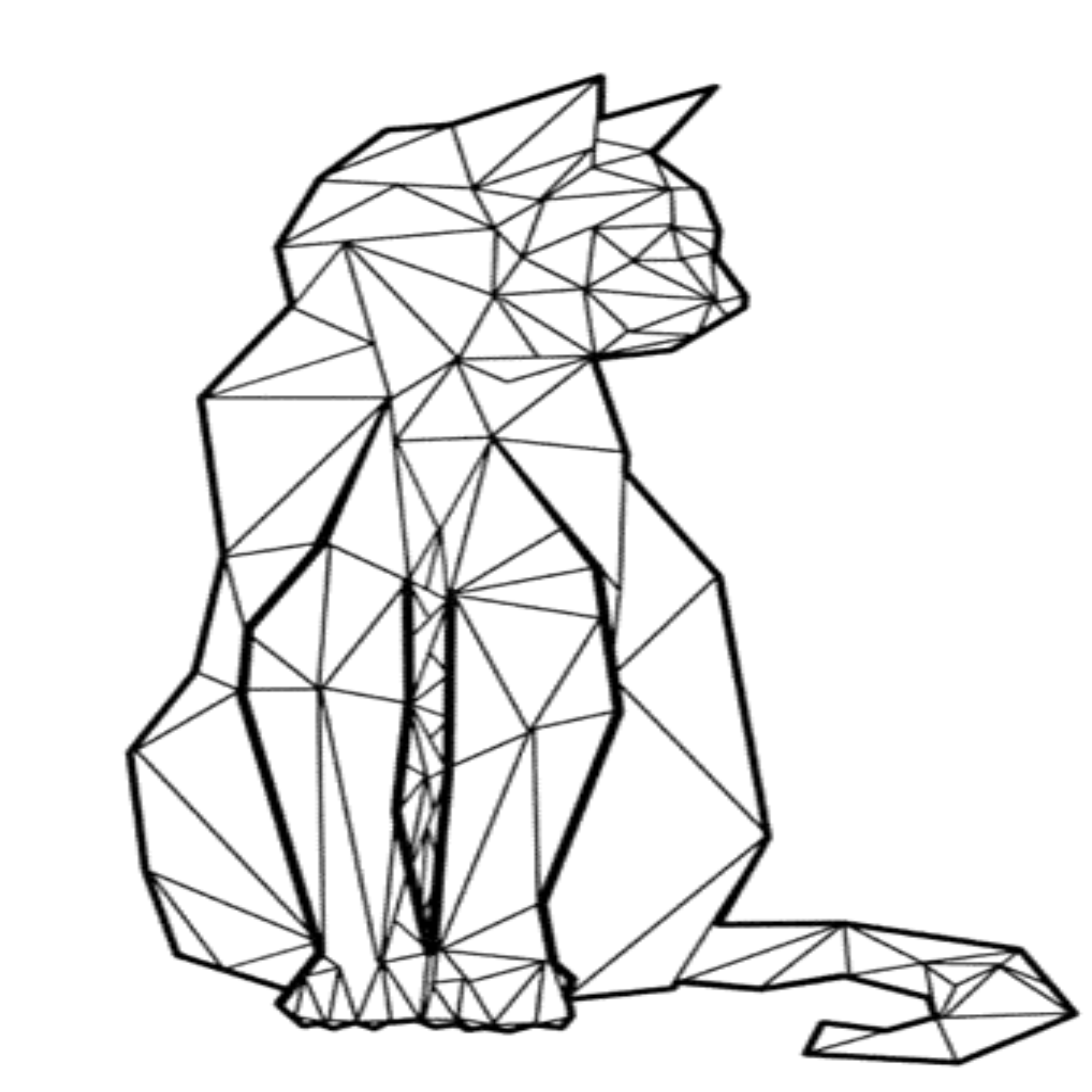 gato