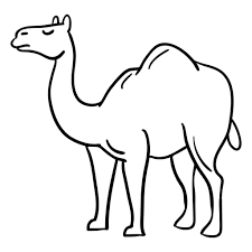Camello